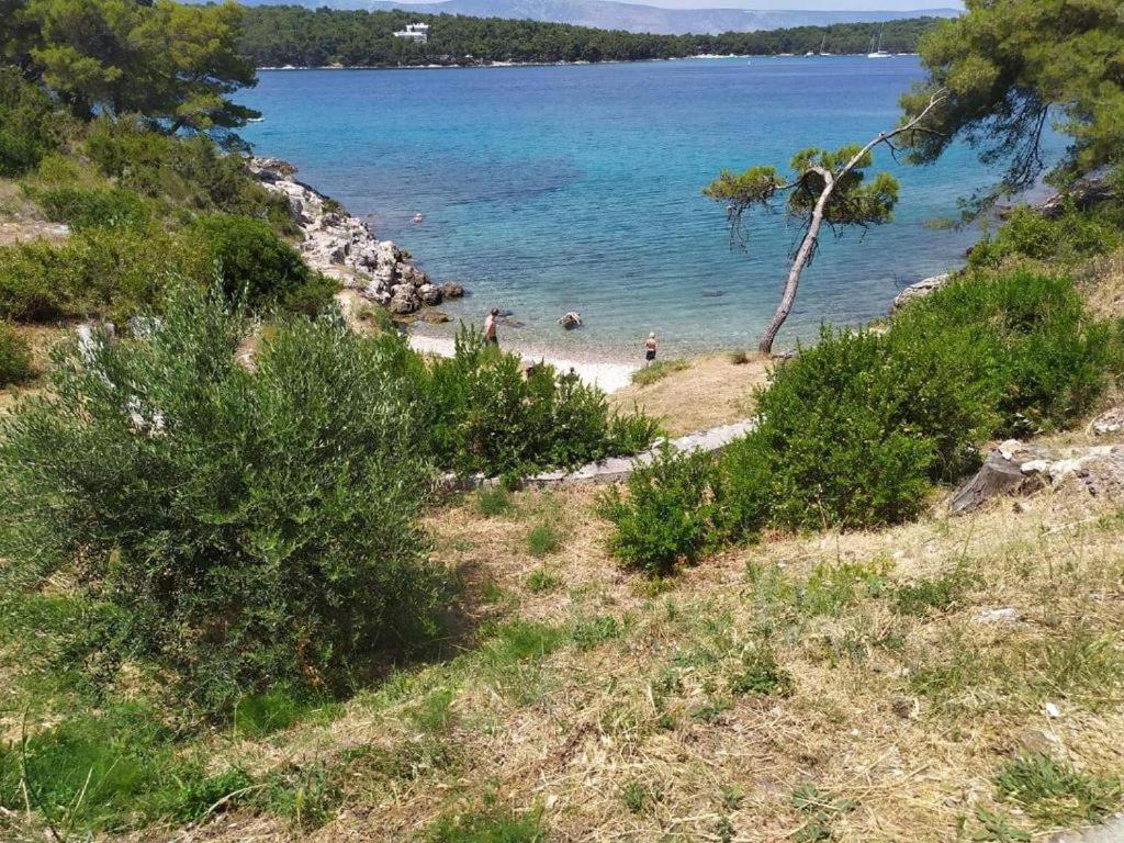Lazaneo Seafront Apartments, Jelsa  Eksteriør billede