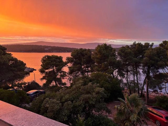 Lazaneo Seafront Apartments, Jelsa  Eksteriør billede